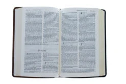 LIV: Living Bible – Paraphrased -Cheap Book Store 100 0007 3