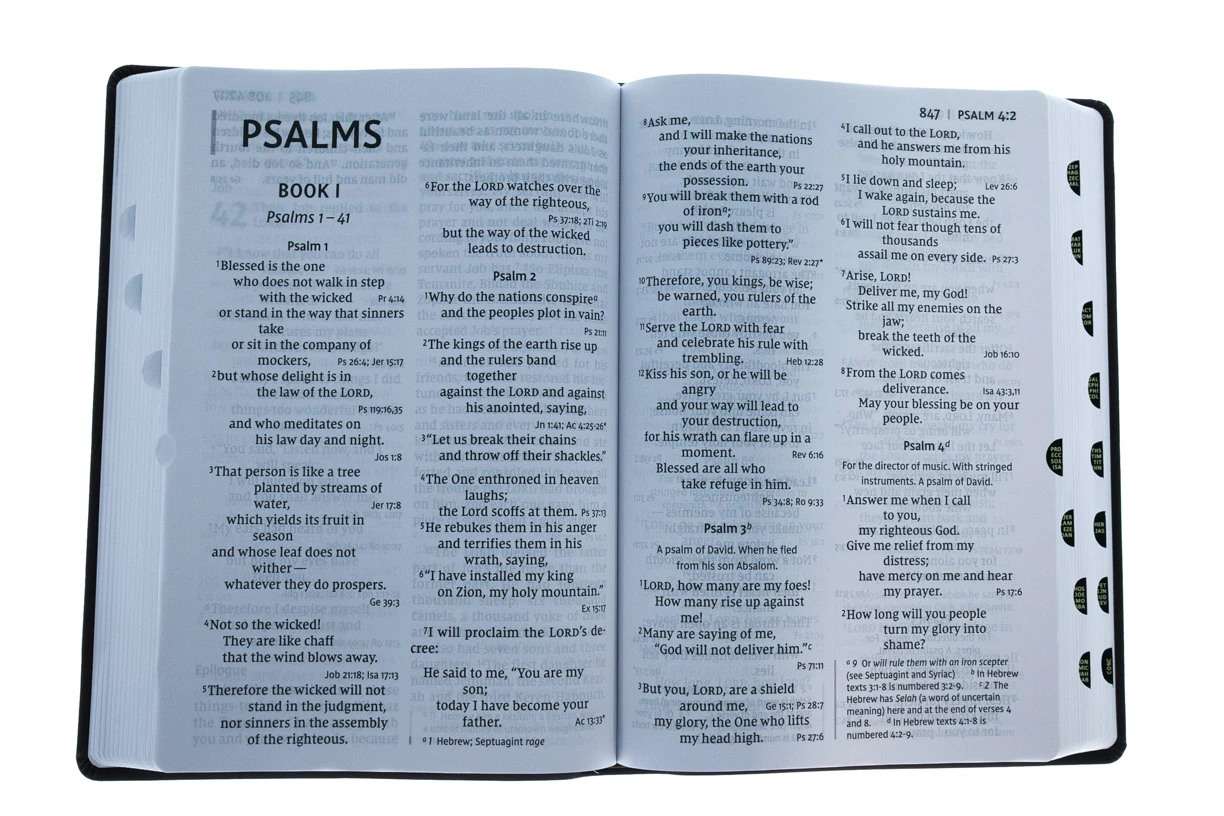 NIV Super Giant Print Reference Bible, Leathersoft, Brown 5 NIV Super Giant Print Reference Bible, Leathersoft, Brown - Image 3