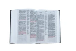 Bible German/English Original Red Letter Hardcover 7 Bible German/English Original Red Letter Hardcover -Cheap Book Store 100 0123 3