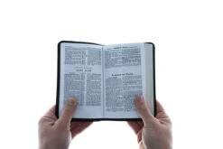 New Testament German/English -Cheap Book Store 100 0145 2