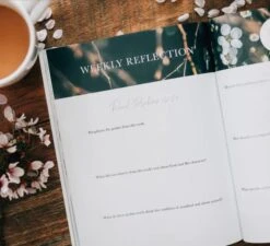 Delight Bible Study Psalms 1-30 -Cheap Book Store 117 0024 3 1