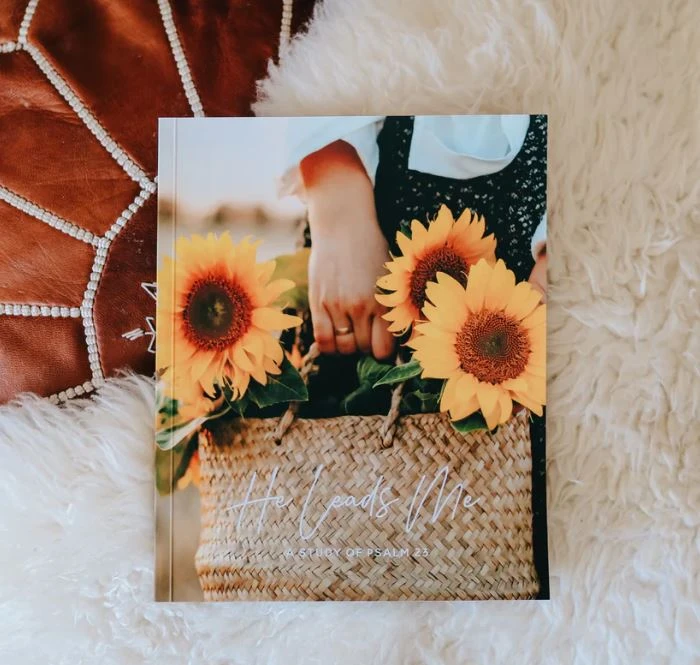 He Leads Me | A Study Of Psalms 23 3 He Leads Me | A Study Of Psalms 23