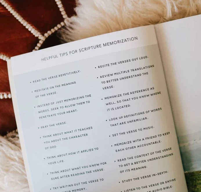 He Leads Me | A Study Of Psalms 23 4 He Leads Me | A Study Of Psalms 23 - Image 2