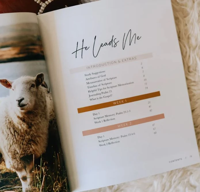 He Leads Me | A Study Of Psalms 23 5 He Leads Me | A Study Of Psalms 23 - Image 3