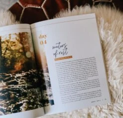 He Leads Me | A Study Of Psalms 23 11 He Leads Me | A Study Of Psalms 23 -Cheap Book Store 117 0031 3