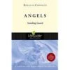 Angels: Standing Guard Revised -Lifeguide Bible Studies -Cheap Book Store 117 0105 0