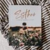 Esther | Seeing God When He Is Silent -Cheap Book Store 117 0138 0