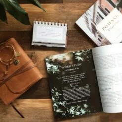 Romans Volume 1 | The Gospel Of Grace -Cheap Book Store 117 0143 4