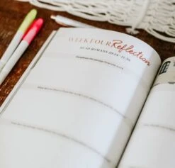 Romans Volume 2 | The Gospel Centered Life -Cheap Book Store 117 0147 3