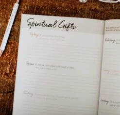 Romans Volume 2 | The Gospel Centered Life -Cheap Book Store 117 0147 5