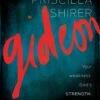 Gideon – Bible Study Book: Your Weakness, God’s Strength -Cheap Book Store 117 0150 0