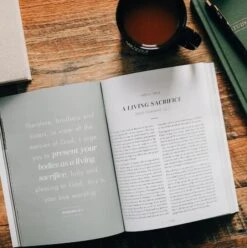 Romans Vol. 2 | The Gospel-Centered Life – Men -Cheap Book Store 117 0188 1 1