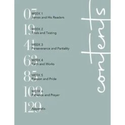 A Living Faith: The Story Of James -Cheap Book Store 117 0191 4