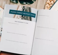 Arise -Nehemiah Study 11 Arise -Nehemiah Study -Cheap Book Store 117 1709 3 1