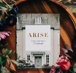 Arise -Nehemiah Study 12 Arise -Nehemiah Study -Cheap Book Store 117 1709 4 1