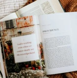 Ruth -Fields Of Grace -Cheap Book Store 117 1710 2