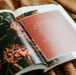 Ruth -Fields Of Grace -Cheap Book Store 117 1710 5