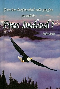 Free Indeed John 8:36 Study Guide