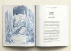 Daughters Of Promise Summer Issue 38: Commitment -Cheap Book Store 118 0721 2