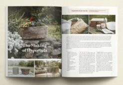 Daughters Of Promise Summer Issue 38: Commitment -Cheap Book Store 118 0721 4