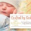 Crafted By God: From Fertilization To Birth -Cheap Book Store 118 1556 0