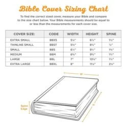 BC: Strong And Courageous Lion Gray – Medium -Cheap Book Store 124 0296 2 1