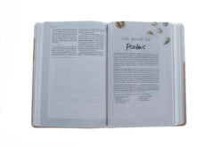 CSB (in)courage Devotional Bible, Desert/Mustard/Alabaster LeatherTouch -Cheap Book Store 200 0009 3