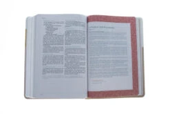CSB (in)courage Devotional Bible, Desert/Mustard/Alabaster LeatherTouch -Cheap Book Store 200 0009 5 1