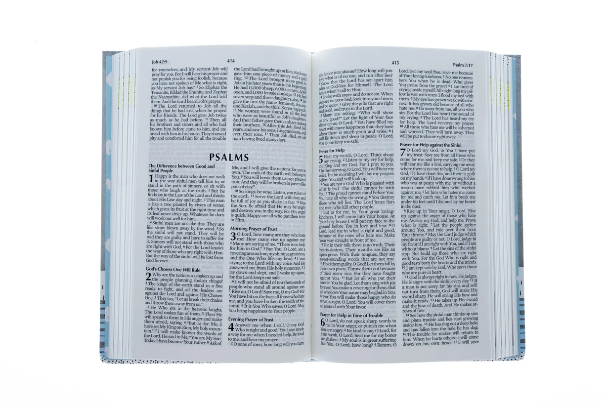 IASPIRE Teen Study Bible: New Life Version 4 IASPIRE Teen Study Bible: New Life Version - Image 2