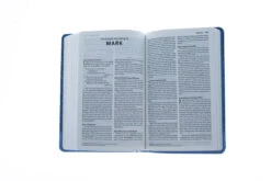 ICB Precious Moments Bible, Leathersoft, Blue -Cheap Book Store 200 0379 4