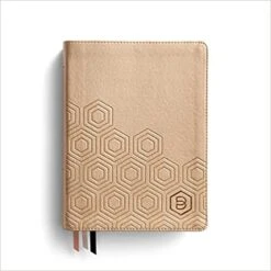 NLT One Step Closer Bible