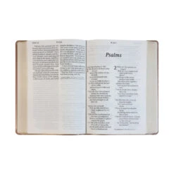 NLT Super Giant Print Bible, Dayspring Signature Collection -Cheap Book Store 200 0406 3