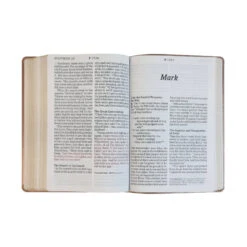 NLT Super Giant Print Bible, Dayspring Signature Collection -Cheap Book Store 200 0406 4