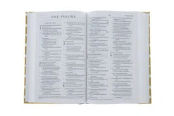 ESV Thinline Bible -Cloth Over Board, Polka Dots -Out Of Print -Cheap Book Store 200 0441 3