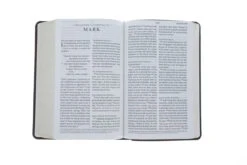 ESV Large Print Personal Size Bible Trutone, Brown, Engraved Mantel Design -Cheap Book Store 200 0452 4