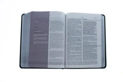 Amplified Everyday Life Bible-Black Bonded Leather -Cheap Book Store 200 0461 4 1