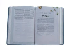 CSB (In)Courage Devotional Bible-Blue LeatherTouch -Cheap Book Store 200 0518 2