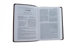 The Passion Translation New Testament Brown -Cheap Book Store 200 1010 3