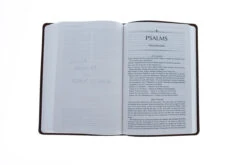 The Passion Translation New Testament Brown -Cheap Book Store 200 1010 4