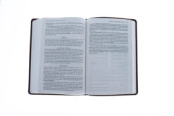 The Passion Translation New Testament Brown -Cheap Book Store 200 1010 5