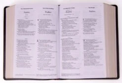 Parallel Side-By-Side Bible NIV/NKJV/NLT/MS -Cheap Book Store 202 0002 2 1