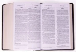 Parallel Side-By-Side Bible NIV/NKJV/NLT/MS -Cheap Book Store 202 0002 3 1