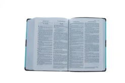 Parellel NIV, KJV, Side-by-Side, Compact, -Cheap Book Store 202 0010 4