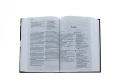 KJV/NLT People’s Parallel Bible -Cheap Book Store 202 0029 3