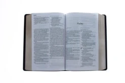 KJV/NLT2 People’s Parallel Bible-Burgundy Imitation Leather -Cheap Book Store 202 0031 3