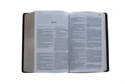 KJV/NLT2 People’s Parallel Bible-Burgundy Imitation Leather -Cheap Book Store 202 0031 4