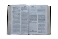 KJV, Amplified, Parallel Bible, Large Print, Bonded Leather, Black -Cheap Book Store 202 0045 3