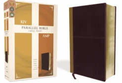 KJV, Amplified, Parallel Bible, Large Print, Leathersoft, Tan/Burgundy -Cheap Book Store 202 0047 2