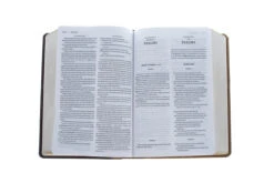 KJV, Amplified, Parallel Bible, Large Print, Leathersoft, Tan/Burgundy -Cheap Book Store 202 0047 4