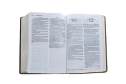 KJV, Amplified, Parallel Bible, Large Print, Leathersoft, Tan/Burgundy -Cheap Book Store 202 0047 5